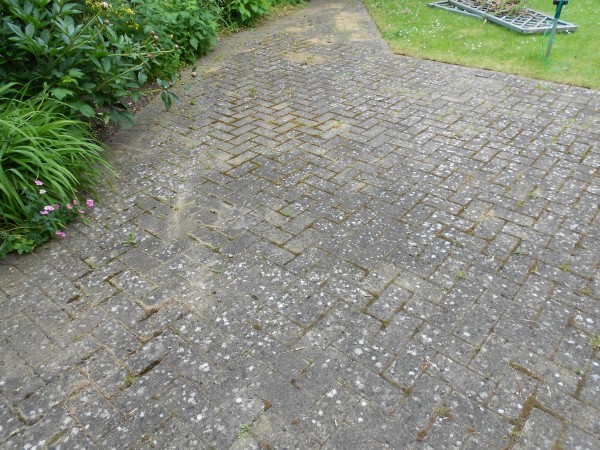 Block8Before